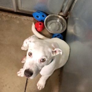 Meet your Posher, Macy